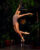 hanging_on_reduced